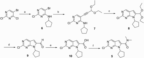 Scheme 1. Reagents and conditions: (a) cyclopentylamine, DIEA, EtOH, r.t., 89%; (b) 3,3-diethoxy-propyne, CuI, PdCl2(PPh3)2, Et3N, DMF, 100°C, 43%; (c) TBAF, THF, 65°C, 82%; (d) HCl concn, dioxane, r.t., 82%; (e) Oxone, DMF, r.t., 85%; and (f) HBTU, DIEA, dimethylamine, DMF, 79%.