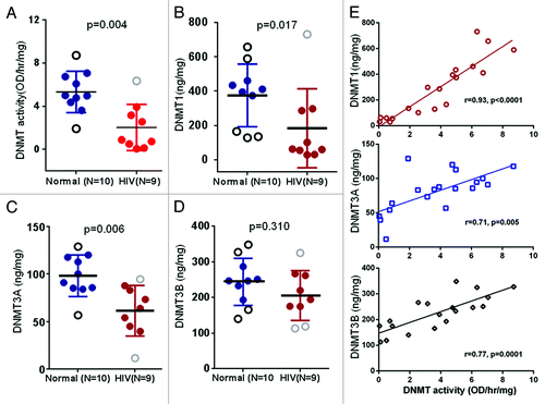 Figure 2. Comparison of DNMT activity (A), DNMT1 (B), DNMT3A (C) and DNMT3B (D) protein levels in the nuclear extract of POECs isolated from 10 normal subjects vs. 9 HIV+O/H subjects. (E) Correlation between DNMT activity and the levels of three individual DNMTs.