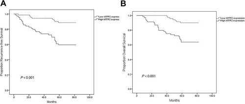 Figure 2 Kaplan–Meier plots of RFS and OS according to MTFR2 expression level. (A) RFS of all patients with high MTFR2 expression vs low MTFR2 expression. (B) OS of all patients with high MTFR2 expression vs low MTFR2 expression.