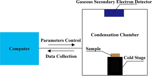 Figure 3. Schematic diagram of the ESEM.