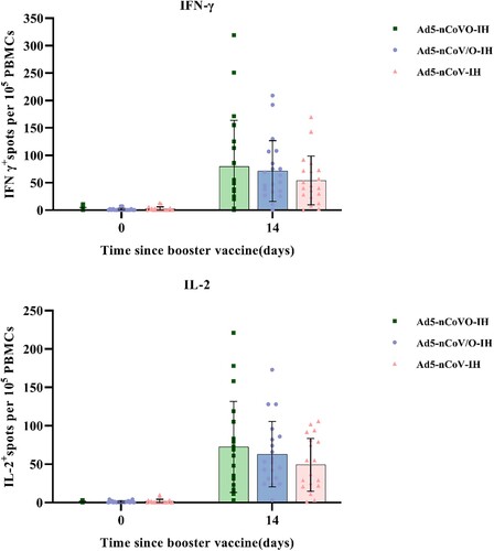 Figure 4. Bar chart showing the antibody level of IFN-γ and IL-2 in the Ad5-nCoVO-IH, Ad5-nCoV/O-IH, and Ad5-nCoV-IH groups at day 0 (pre vaccination) and day 14 post vaccination. Results were mean ± SD of 20 subjects in each group.