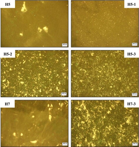 Figure 9. Influence of RET on the microscopic morphology of HDPE-modified bitumen.