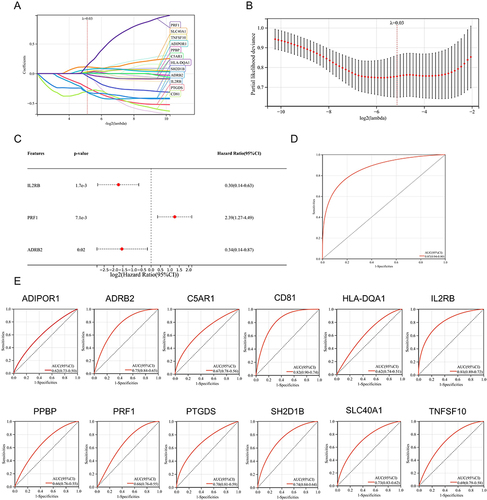 Figure 6 Diagnostic model of AS: (A) Screening of diagnostic biomarkers from 26 PB-DEIRGs using the LASSO algorithm. (B) 5-fold cross-validation was performed to obtain the optimal diagnostic model. (C) Forest plot of multivariate survival analysis in AS patients. (Hazard Ratio=1: no harm, Hazard Ratio<1: reduced harm, Hazard Ratio>1: increased harm). (D) ROC curves for risk scores in AS diagnosis. (E) ROC curves of 12 diagnostic biomarkers.