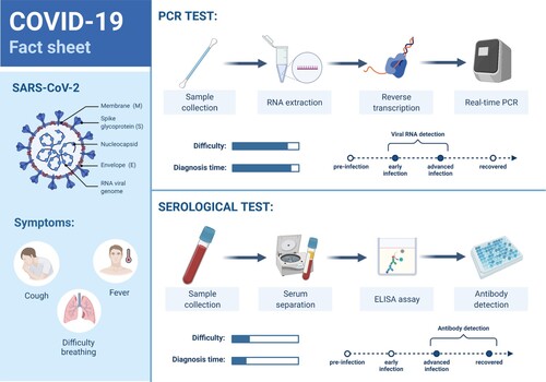 Figure 6. SARS-CoV-2 PCR and serological tests processes. (Reprinted from ‘COVID-19 Fact Sheet', by BioRender, August 2020, retrieved from https://app.biorender.com/biorender-templates/ Copyright 2021 by BioRender.)