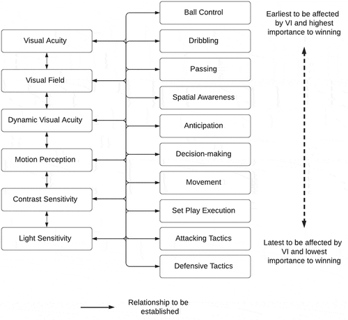 Figure 1. Model for research to establish the impairment-performance relationship in VI football. The model displays all measures of visual function and aspects of performance that reached consensus in this study