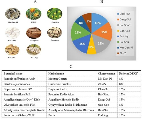 Figure 2 Information of components in Danzhi Xiaoyao pill (DZXY). (A) Figures of herbs in DZXY. (B) Ratio of each herb in DZXY. (C) List of accepted Botanical, Herbal and Chinese name of the corresponding herb in DZXY according to www.theplantlist.org.