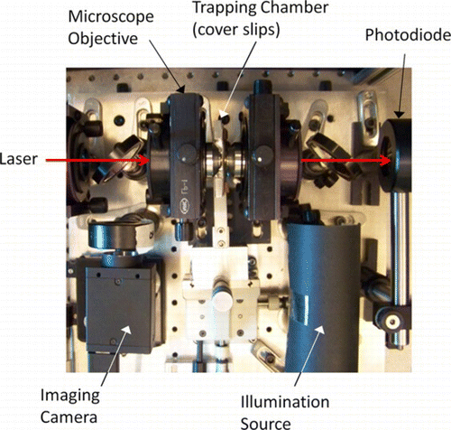 Figure 8 Photograph of the trapping chamber region showing the microscope objectives and cover slips. (Figure is provided in color online.).