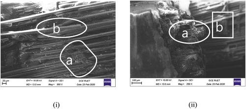 Figure 7. Morphological view of the [0 ∘j/G/G/0 ∘j] orientation; (i) (a) delamination and (b) jute fibers pull-out; (ii) (a) jute fibers failure and (b) glass fibers debonding.