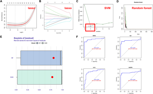 Figure 2 PRGs are potential prognostic markers for ARDS. (A) LASSO regression with 10-fold cross-validation was used to fine-tune parameter selection. λ is the adjustment parameter, and the partial likelihood deviance is plotted according to log (λ); (B) LASSO regression coefficients of the 12 selected PRGs; (C) SVM model; (D) RF model; (E) Box plots of residuals (Red dot represents root-mean-square); (F) ROC curves of the 4 PRGs (GPX4, IL6, IL18 and NLRP3).