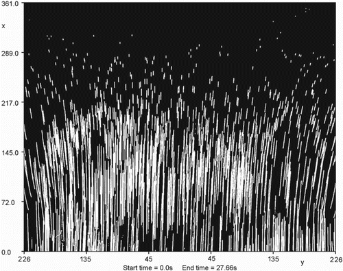 Figure 3. Particles paths of the aqueous glycerol fluid (displayed in Streams).