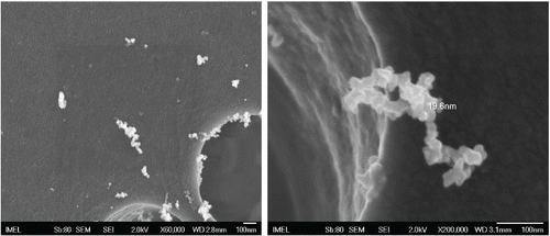 Figure 3. SEM images of carbon nanoparticles produced by a discharge ionization source.