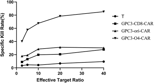 Figure 5. Cytotoxicity activity of T cells expression different GPC3-CAR structures to HepG2 cells