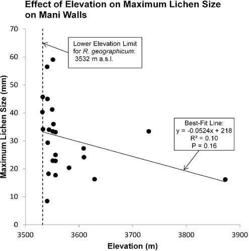 FIGURE 13. The maximum lichen size found on each of 24 mani walls was uncorrelated (P = 0.16) with elevation even though all but two mani walls occurred within 97 m of the lower elevation limit (3532 m a.s.l.) for R. geographicum. The maximum lichen sizes include the 21 mani walls measured in 2014 in addition to the three mani walls measured in 2009 that were devoid of lichens in 2014. The lichen at the lower elevation limit was found on Mani Wall #1 (Table 2), while the lichen at the highest elevation (3873 m a.s.l.) was found on Mani Wall #24 adjacent to the monastery in Kyanjin Gompa (Table 2, Fig. 4).