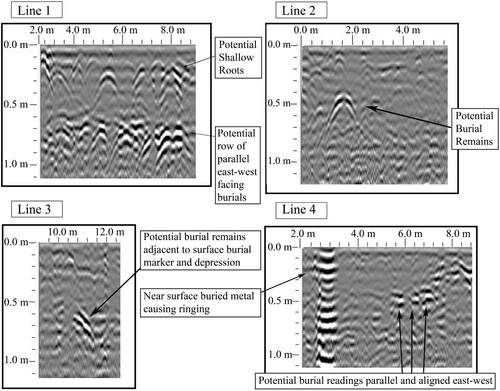 Figure 3. Corresponding reflection profiles from grid 1 showing potential burial remains.