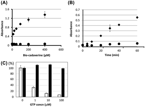 Fig. 3. Enzymatic activity of recombinant OlTGT.