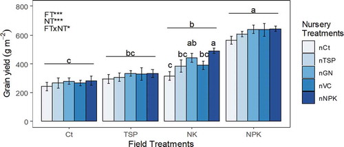 Figure 2. Year 1 (2017) grain yield affected by nursery and field treatments in Behenjy 1 site. Values are mean of 4 replicates and error bars represent standard error of mean. Different letters above lines represent significant difference between field treatments. Significant differences between nursery treatments within field treatment are indicated by different letters. NT: nursery treatment, FT: field treatment, NTxFT: interaction nursery and field treatments. *: p-value < 0.05, **: p-value < 0.01 and ***: p-value < 0.001