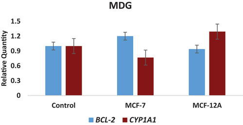 Figure 3. Concentration-related changes in the expression levels of CYP1A1 and BCL-2 genes determined in MDG-treated MCF-7 (breast cancer) and MCF-12A (normal breast epithelium) cell lines.