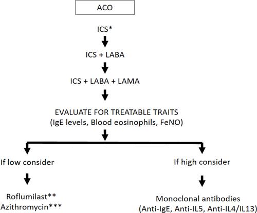 Figure 2 Treatment algorithm for ACO.