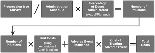 Figure 1. Model structure.