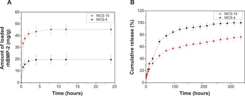 Figure 9 Profile of rhBMP-2 loaded on MCS-15 (A) and released (B) from MCS-15 (MCS-4 as a control).Abbreviations: MCS, mesoporous calcium–silicon; rhBMP, recombinant human bone morphogenetic protein.