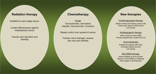 Figure 1 Current treatment options for glioblastoma multiforme patients.Abbreviations: GBM, glioblastoma multiforme; HGG, high-grade glioma; RNA, ribonucleic acid.