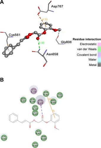 Figure 7 Residual interaction of 6a in binding pocket of HMG CO A reductase.