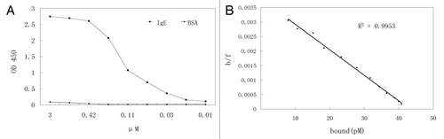 Figure 3 ELISA analysis. (A) Binding of scFv on IgE coated wells. The amount of scFv used in the dilution was shown as uM. (B) Competitive inhibition assay.