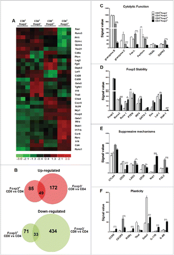 Figure 7. Alloreactive CD4+ and CD8+ iTregs display differential gene expression profiles. Naive CD4+ or CD8+ B6-Foxp3-GFP T cells were stimulated with BALB/c CD11chi DC with IL-2 only, or with TGFβ and RA three separate times. GFP/Foxp3− CD4+ or CD8+ cells were FACS sorted from the culture with IL-2 alone, and GFP/Foxp3+ CD4+ or CD8+ cells were sorted from the culture with IL-2 plus TGFβ and RA. Total RNA was isolated from 2 × 106 cells, and then labeled and hybridized to microarray chips for gene profiling. 32 representative genes display differential gene expression were shown (A). dChip software using FC > 2 and p < 0.05 identified unique genes that were exclusive either Foxp3 expression (B). Signal values for genes relevant to cytotoxic function (C) Treg stability (D) suppressive mechanisms (E) or Treg plasticity were displayed (F). * p < .05; **p < .01; ***p < .001. Error bars indicate the mean of standard error.