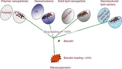 Figure 2 Comparison of nanosuspension with other nanosize delivery systems.