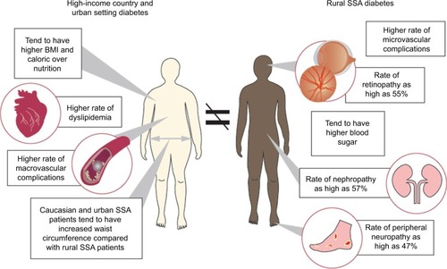 Figure 3 Differences in pathophysiological presentation of diabetes in HICs and urban setting diabetes compared with rural Sub-Saharan African diabetes.