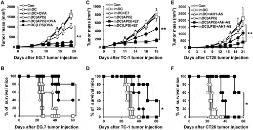 Figure 5. API5-treated DC vaccination reduces tumor growth and prolongs survival. Mice (5 mice per group) were challenged with EG.7 (A), TC-1 (C) or CT26 (E) tumor cells. Three and ten days after tumor challenge, mice were treated with 1) PBS, 2) immature DC, 3) immature DC loaded with antigen peptide, 4) API5 treated mature DC, 5) API5 treated mature DC loaded with antigen peptide, and 6) LPS treated mature DC loaded with antigen peptide, in the footpad twice at one week intervals. Tumor volume was measured using digital caliper. (B, D, F) Mice survival were assessed using Kaplan-Meier analysis. Data are presented as mean ± SD (* = p ≤ 0.05, ** = p ≤ 0.01).