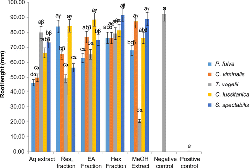 Figure 5. Effects of plants extracts and fractions on the tomato seeding plant root lenght at the end of the experiment (10 days).