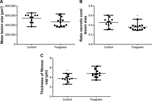 Figure 1 Atherosclerotic lesion composition within the aortic sinus after 25 weeks of ticagrelor treatment, 0.15% (270 mg/kg/day), starting at 20 weeks of age.