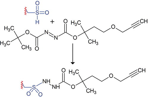 Figure 4. Chemoselective tagging of sulfinic acid residues employing electron-deficient diazenes [Citation56].