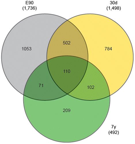 Fig. 4. Characteristics of the target genes predicted from stage-enriched miRNAs.