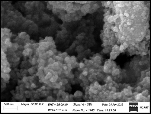 Figure 4. Scanning Electron Microscopy (SEM) analysis of Zinc Oxide Nanoparticles.