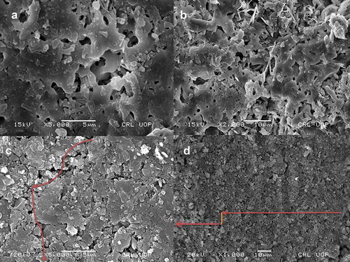 Figure 5. (a) Surface SME of geopolymeric membrane for pore size analysis. (b) Surface SEM of geopolymeric membrane for cracks analysis. (c) Cross-sectional SE of geopolymeric membrane for flow line. (d) Cross-sectional SEM of geopolymeric membrane for different layers