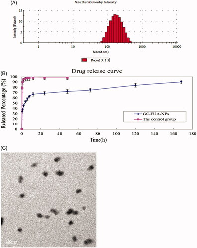 Figure 1. Size distribution of GC-FUA-NPs (A), and release profile of the GC-FUA-NPs and 5-Fu loaded GC nanoparticles in PBS (n = 3, B), and transmission electron microscope (TEM) image of GC-FUA nanoparticles (C).