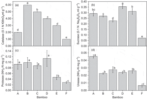 Figure 3 Soil enzyme activity of various bamboo forests (A = P. amabilis, B = A. edulis, C = D. vario-striata, D = D. oldhami, E = D. beecheyana var.pubescens, F = bare land). Error bars are standard deviation (SD). Different letters indicate significant differences (P < 0.05). Na2S2O3: sodium thiosulfate; NH2-N:amine nitrogen; NH3-N:ammonia nitrogen; KMnO4: potassium permanganate.