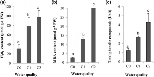 Figure 3. The effects of irrigation with saline water on the hydrogen peroxide (H2O2) (a), the malondialdehyde (MDA) (b), and on the total phenolic (c) productions in Aloe leaves. Values are mean ± SD based on three replicates and bars indicate standard deviation.Notes: For each parameter, columns with different letters are significantly different at P < 0.05 according to Tukey's test. C0, C1 and C2 indicate, respectively, the electrical conductivity of the irrigation water, ECw equal to 1.25, 3 and 12 dS m–1. FW, fresh weight.