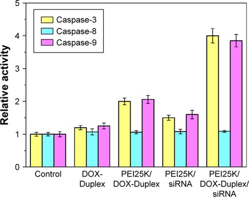 Figure 10 Relative activity of caspase-3, -8 and -9 in PC-3 cells after the treatment with different nanocomplexes for 24 h.Abbreviations: DOX, doxorubicin; PEI, polyethylenimine.