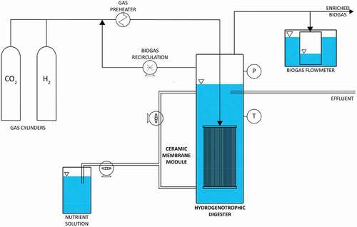 Figure 8. Diagram of a membrane bio-reactor experimental set-up.