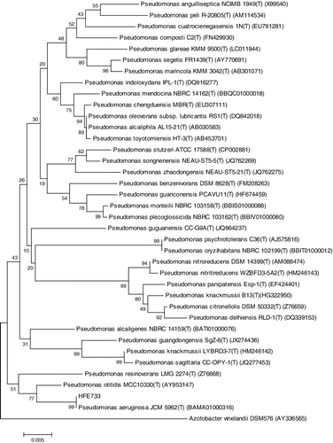 Figure 1. Phylogenetic tree of the strain HFE733.