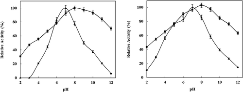 Figure 1. a) Effect of pH on the activities of free (▲) and immobilized (■) enzyme. The activity at optimal pH was taken as 100%. b) Irreversible inactivation of free (▲) and immobilized (■) P. vannamei protease after incubation for different times at pH 3.0–12. The activity of untreated enzyme was taken as 100%.