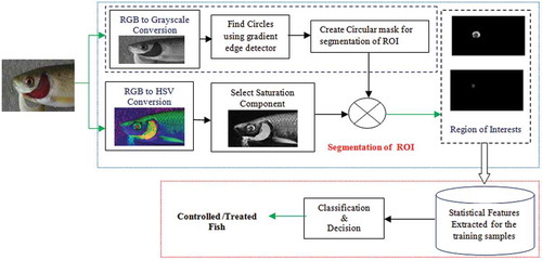 Figure 1. Block diagram of the proposed method for classification between pesticide exposed and fresh water fish.