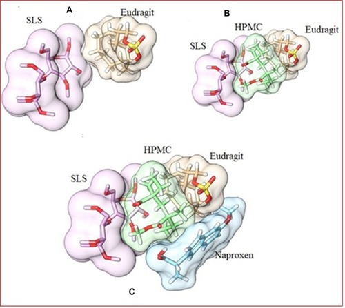 Figure 7 3D surface and structure representation of SLS and Eudragit complex (A). 3D surface and structure representation of SLS-Eudragit (host) and HPMC (guest) complex structure (B). 3D surface and structure representation of SLS-Eudragit-HPMC host) and Naproxen (guest) complex structure (C).