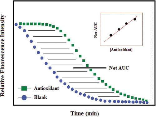 Figure 4. ORAC antioxidant activity expressed as the net area under the curve (Alberto, Carmen, & Begoña, Citation2004).