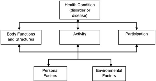 Figure 1 Interactions between the components of the ICF.