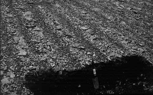 Figure 29 Active sorted stripes on basalt, Trotternish escarpment, northern Skye