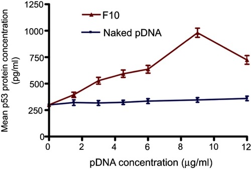 Figure 6 Mean p53 protein concentrations (±SD, n=3) in Caco-2 cells treated with naked pDNA and pDNA-loaded chitosan-sodium deoxycholate nanoparticles (F10).